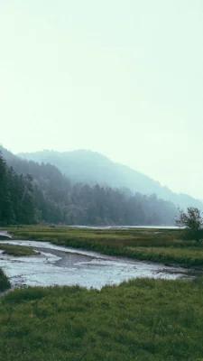 竹林深处的幽静