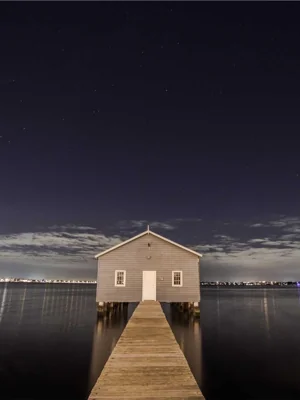 春天生机勃勃